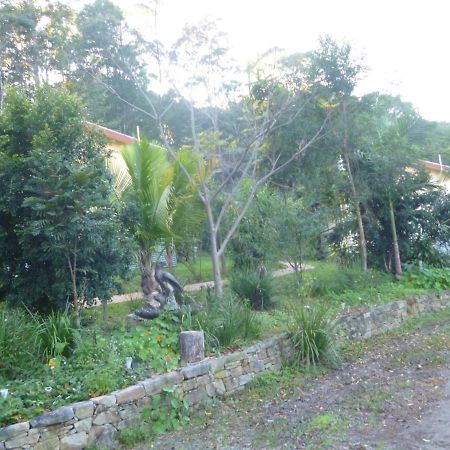 Teretre Cabins Nimbin Exterior photo