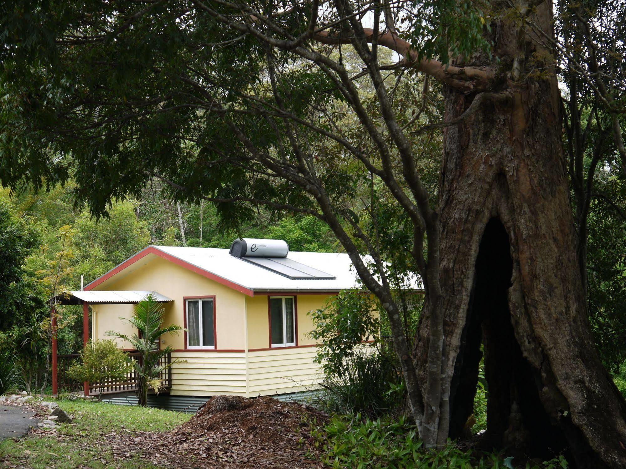 Teretre Cabins Nimbin Exterior photo